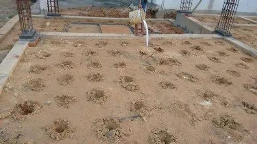Lizard Pest Control Bangalore